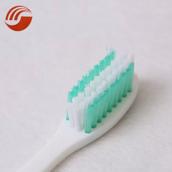 최신 디자인 독특한 투명 나일론/PP 접이식 여행 강모 성인 칫솔