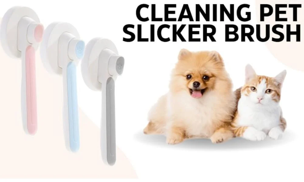 Hot Selling Self Cleaning Slicker Brushes for Dogs & Cats